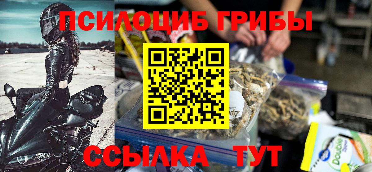 Псилоцибиновые грибы ЛСД Киселёвск