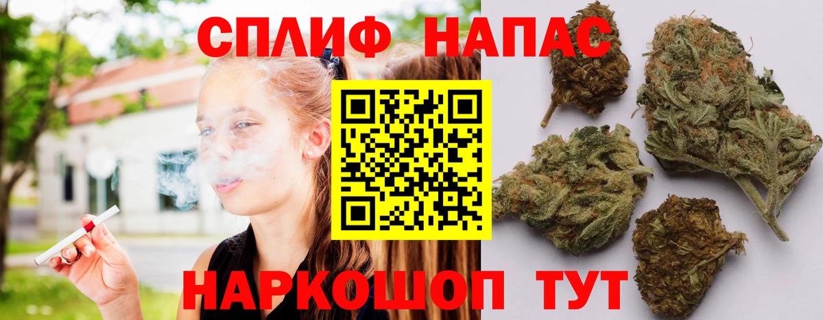 Конопля план Киселёвск